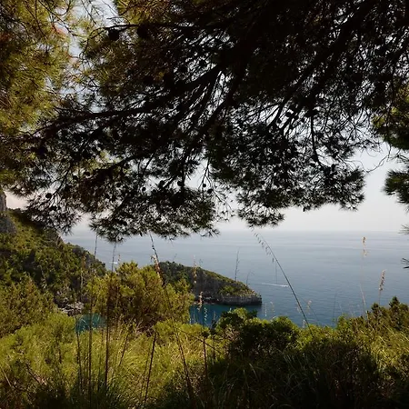 Villino Iolanda Villa Marina di Camerota